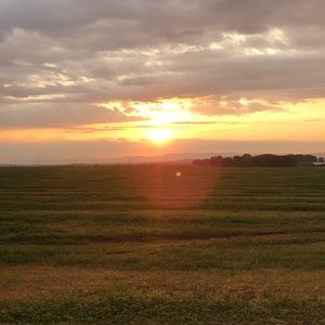 Meet your Posher, Jandre